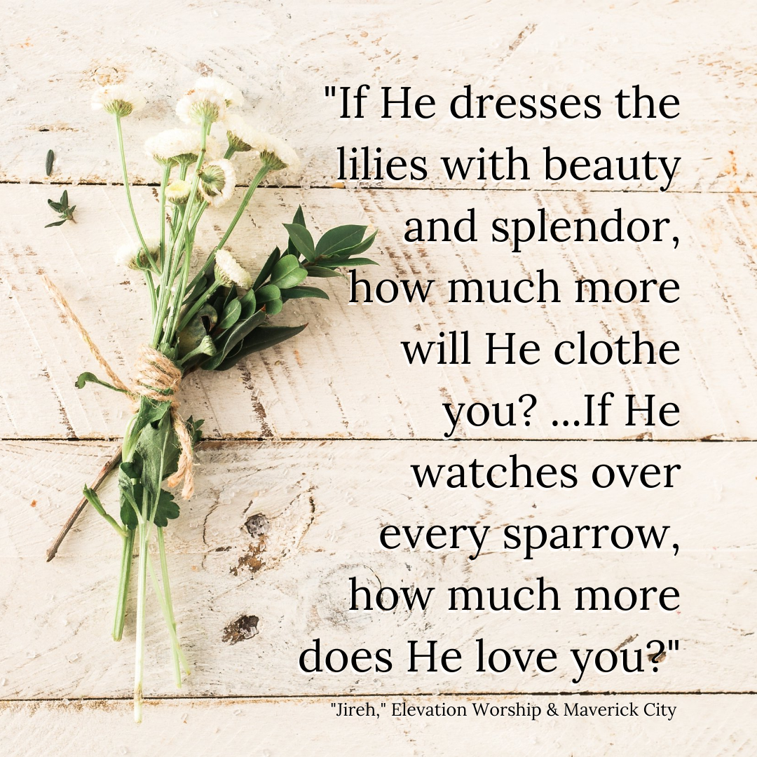 if he dresses the lilies with beauty and splendor